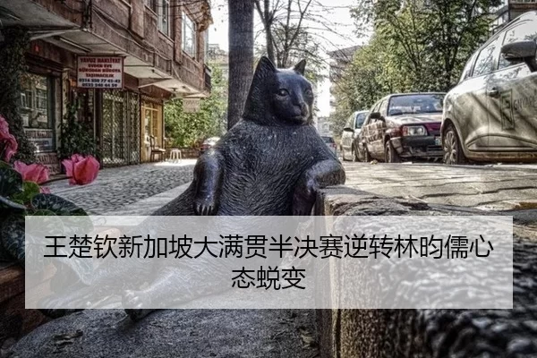 wang-chu-qin-xin-jia-po-da-man-guan-ban-jue-sai-ni-zhuan-lin-yun-ru-xin-tai-tui-bian-2-206.jpg