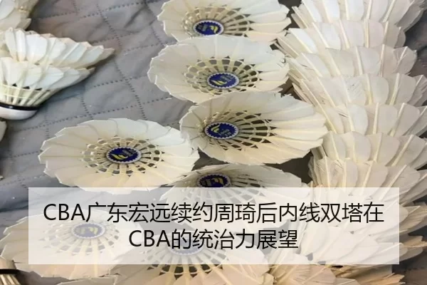 guang-dong-hong-yuan-xu-yue-zhou-qi-hou-nei-xian-shuang-ta-zai-de-tong-zhi-li-zhan-wang-2-300.jpg